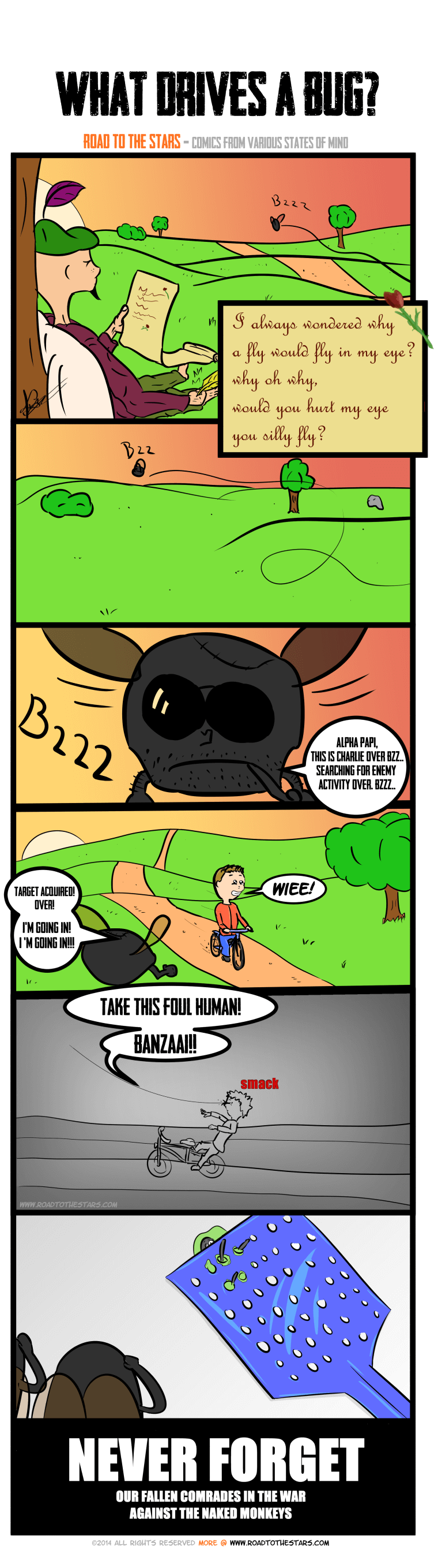 A bug's perspective
